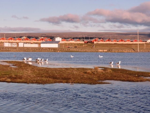 Porque deben cuidarse y protegerse las turberas en Tierra del Fuego.