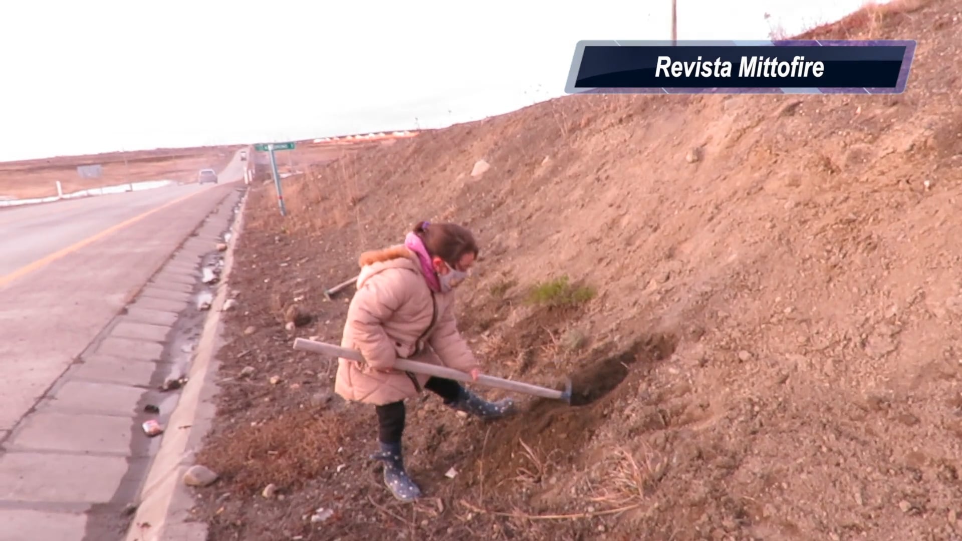 Sofia: Limpia, cuida, conserva, protege y se preocupa de plantar flores en Tierra del Fuego.