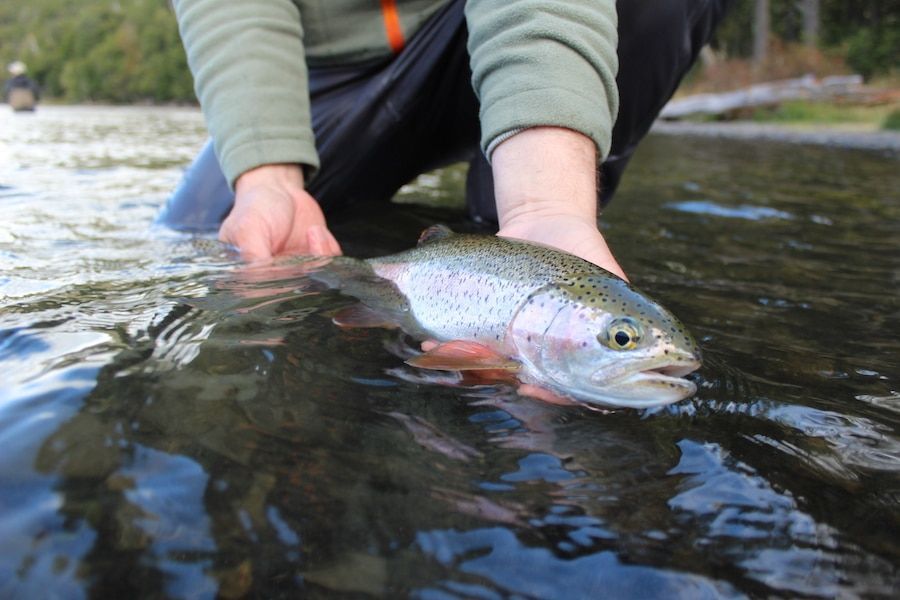 Turismo: Inicio Temporada Pesca Recreativa Isla Grande Tierra del Fuego.