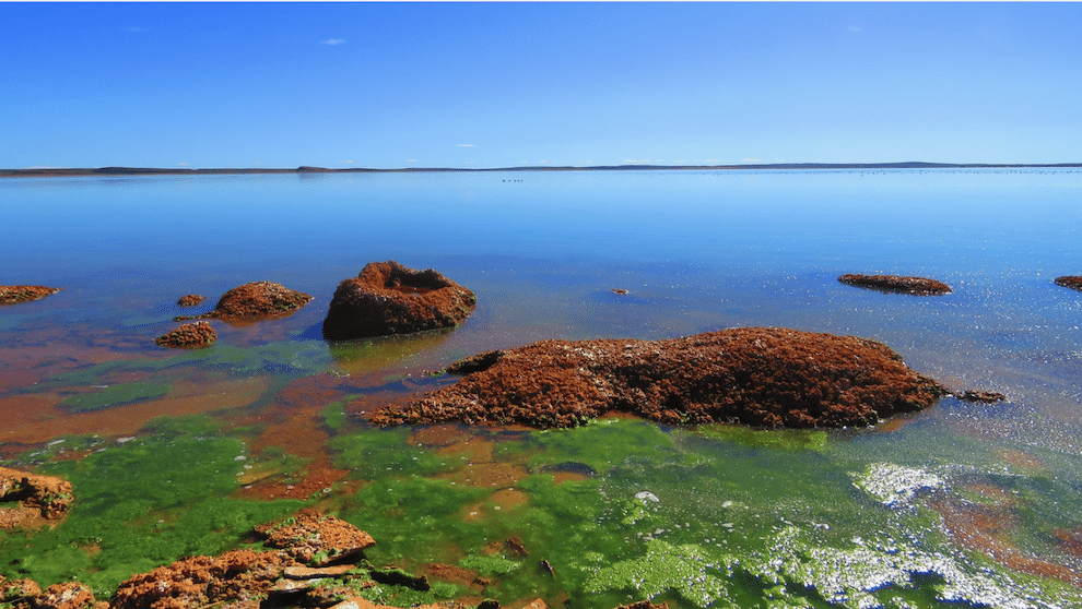 Tierra del Fuego: un tesoro natural en riesgo