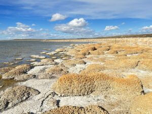 Tierra del Fuego: Estromatolitos, Ecosistemas Microbianos Vivos En El Extremo Sur Del Planeta