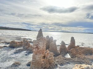Tierra del Fuego: Estromatolitos, Ecosistemas Microbianos Vivos En El Extremo Sur Del Planeta